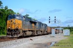 CSX 3019